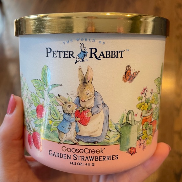 Goose Creek Candle Co. | Accents | Limited Edition Peter Rabbit 3 Wick ...
